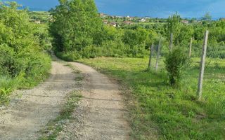Teren intravilan de vânzare Daia Nouă | 1000 mp | Ideal pentru construcție - Poză 5