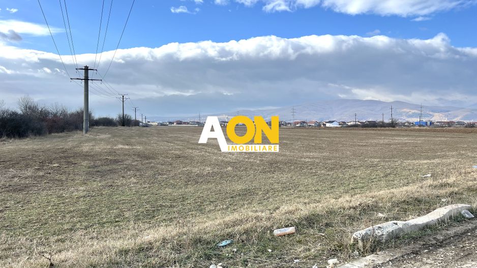 Teren intravilan pretabil hala, toate utilitatile - Poză 5