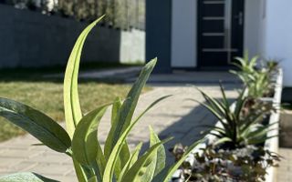 Casa individuală | Zona străzii Narciselor , Florești - Poză 27