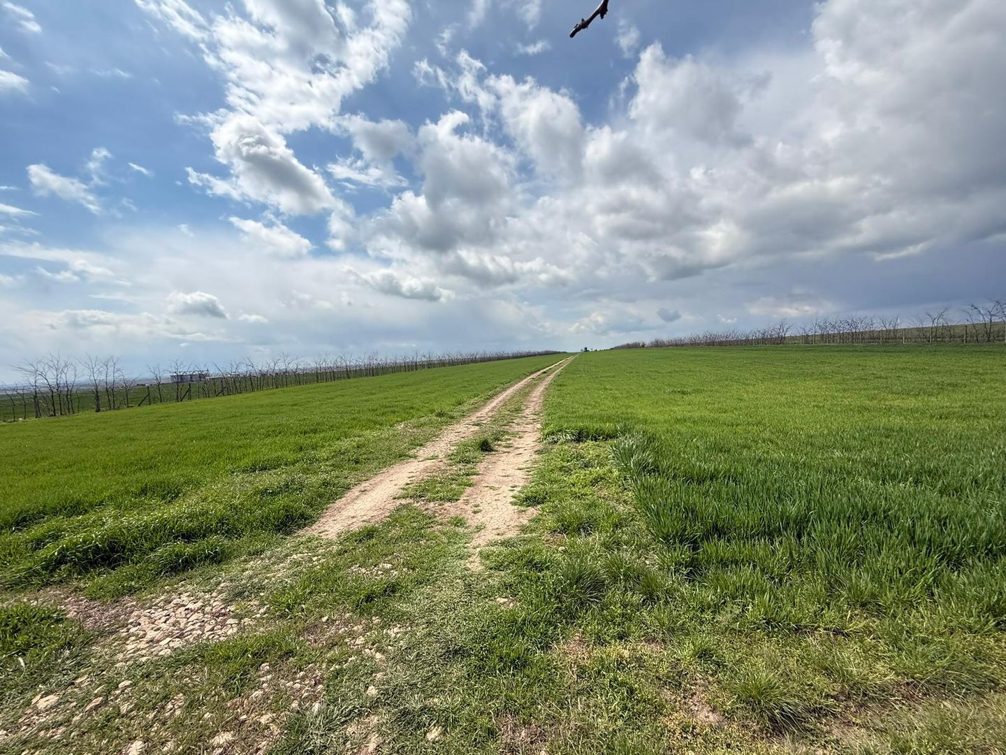 Teren de vanzare in Săcele ideal pentru silozuri, fermă 6 ha - Poză 23