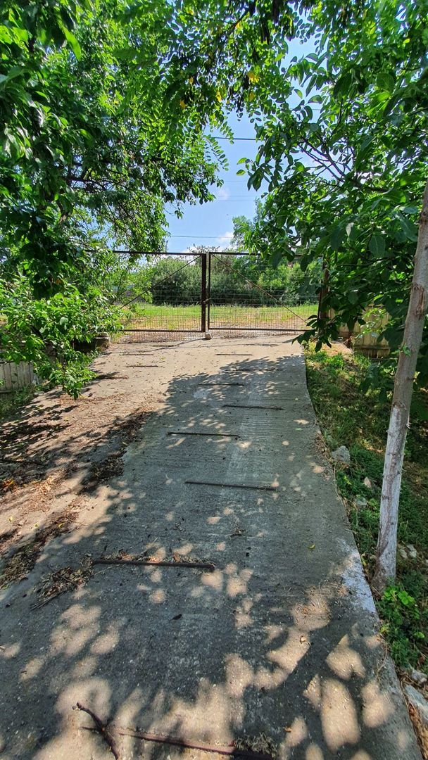 Teren INTRAVILAN 1.000 mp, Muntenii de Jos; - Poză 2