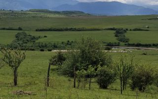 De vanzare, teren 11.500 mp – Dealul Dăii,  Vedere panoramică spre munți și lac - Poză 11