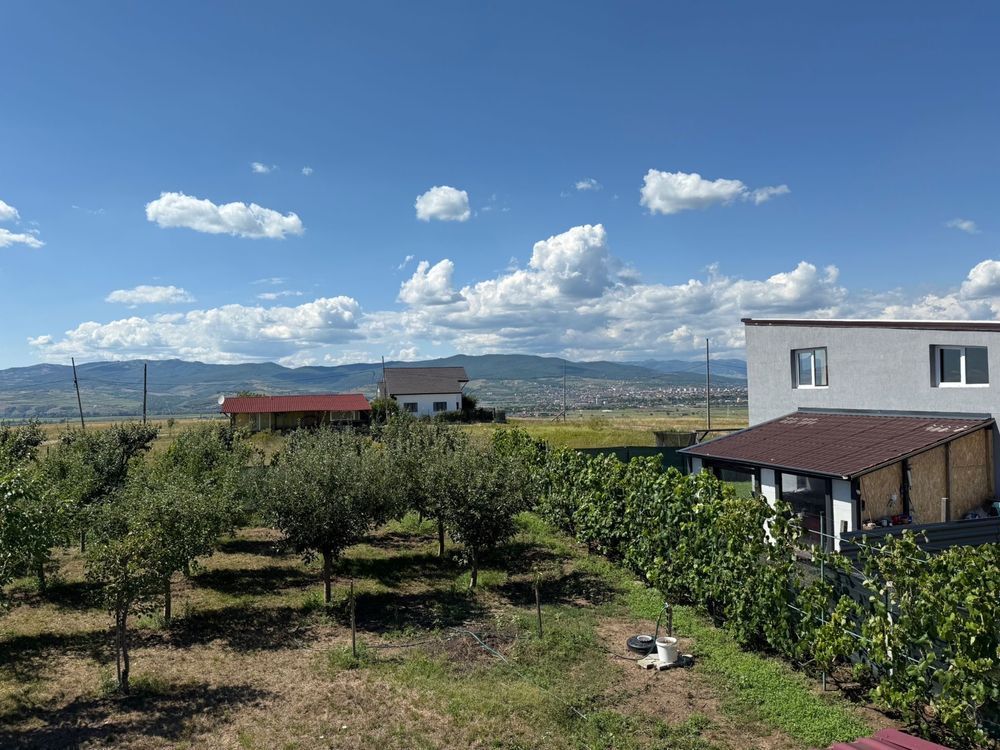 Cabana de lemn, 2 camere, teren 850 mp, livada, Oarda, Alba Iulia - Poză 7