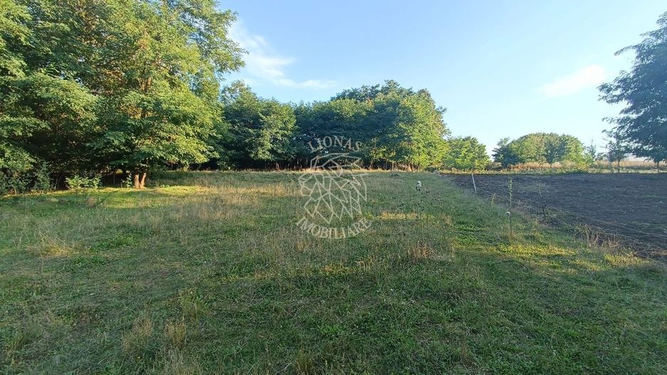 Teren 776 mp cu utilitati-panoramic- Zona Valea Jelnei - Poză 1