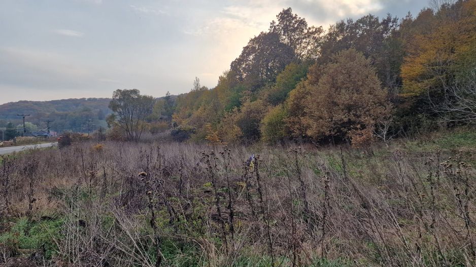 Teren 1,717mp Margineni / Strada Sat podis - Poză 6