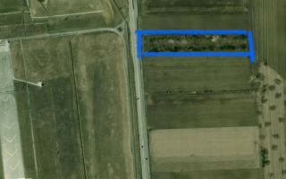 Teren Intravilan | 6400 mp | zona aeroport CP3117121 - Poză 2