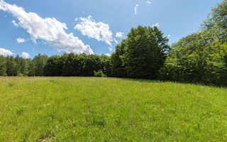 2,6 HA TEREN EXTRAVILAN FANEATA, in Muntii Apuseni, Negreni, jud. Cluj - Poză 3