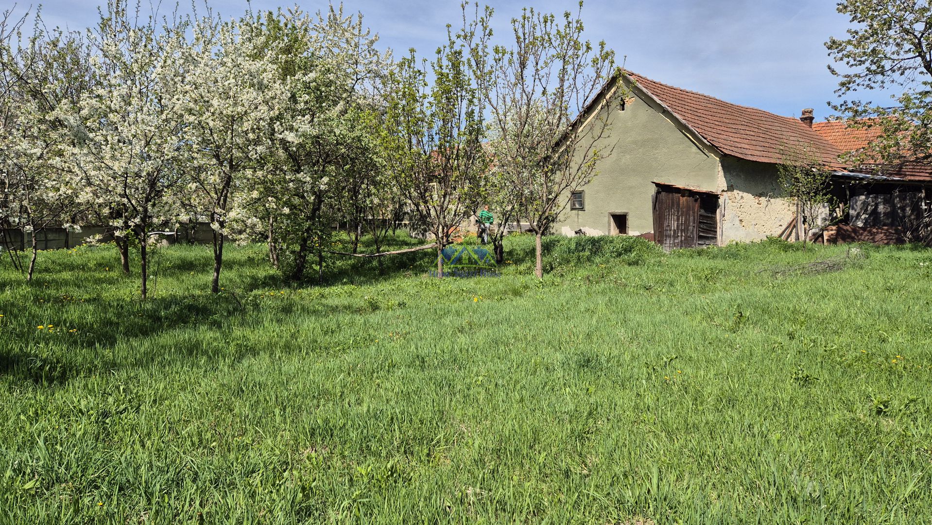 Vand casa 2 camere, 90mp, Silvasul de Jos, teren 1295, deschidere 62m - Poză 8