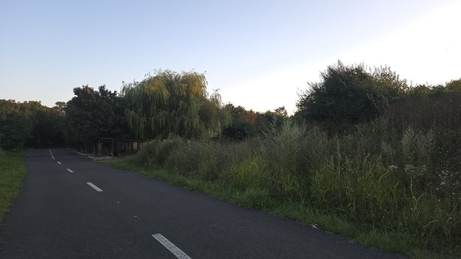 Teren intravilan 605 mp | Neptun – Comorova | Deschidere la șosea - Poză 8
