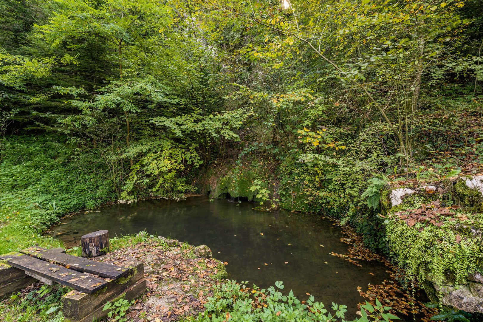 Domeniu în satul Căprioara - Poză 19