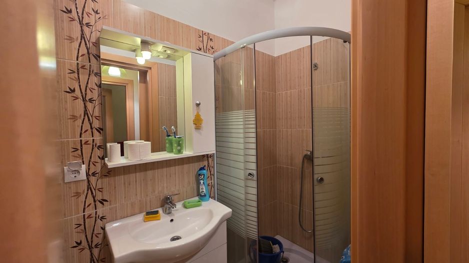 APARTAMENT 1 CAMERA 30MP CUG VISOIANU - Poză 9