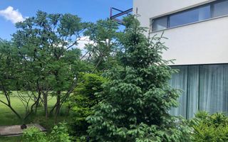 Vilă Individuala | Locație premium | Panouri solare - Poză 12