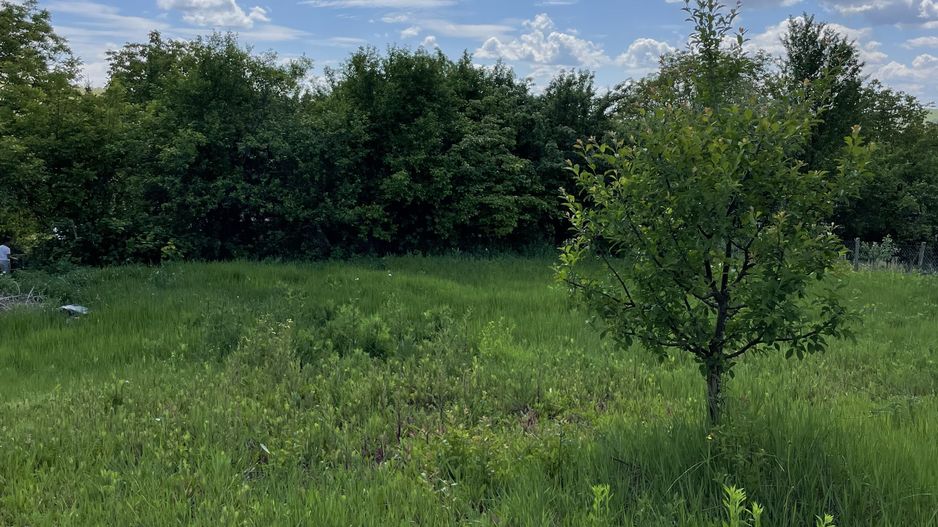 Casa in Comuna Geaca - Poză 14