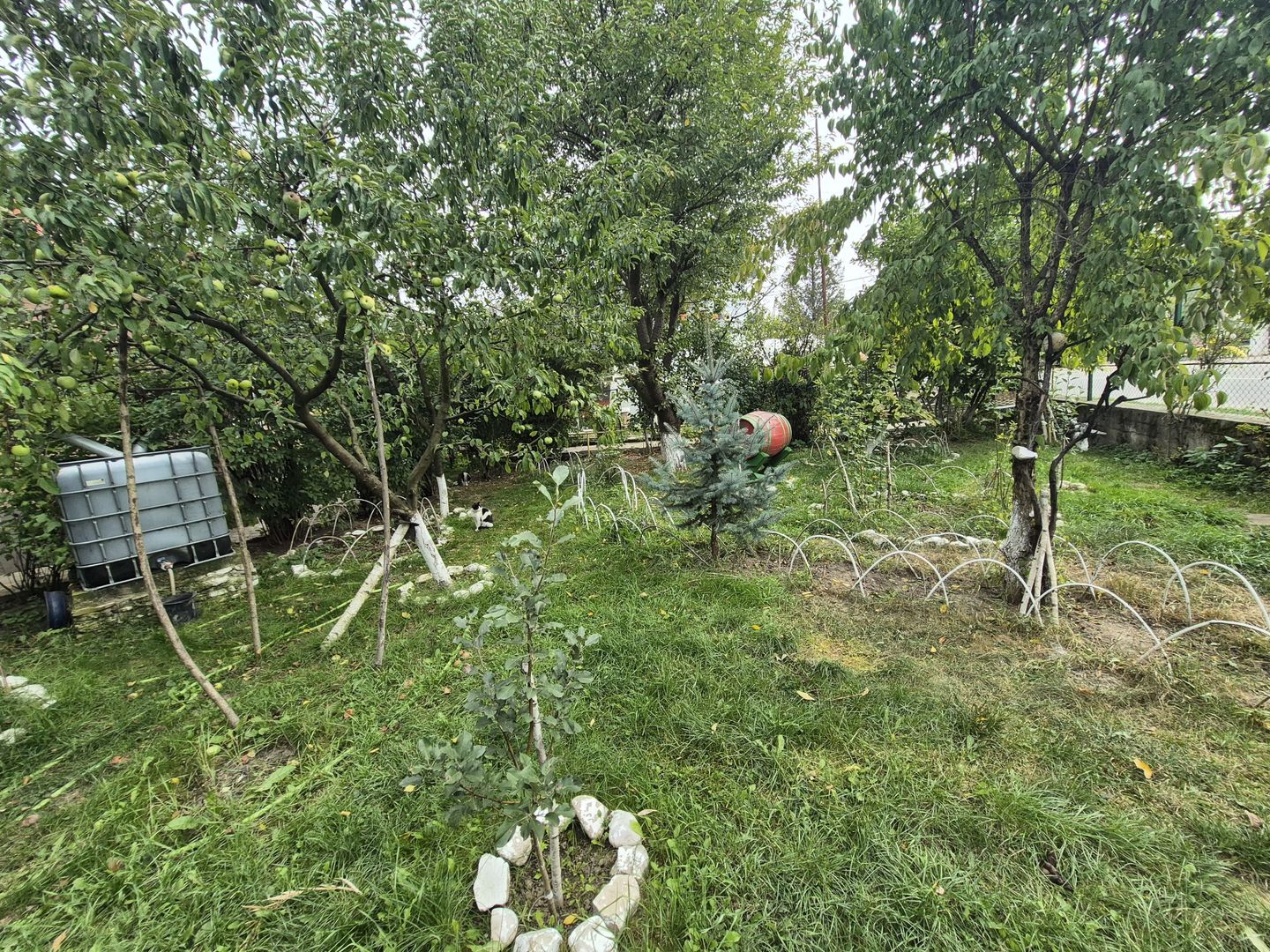 Vila 4 camere + teren 818 mp central Provita de Sus (lângă școală) - Poză 52