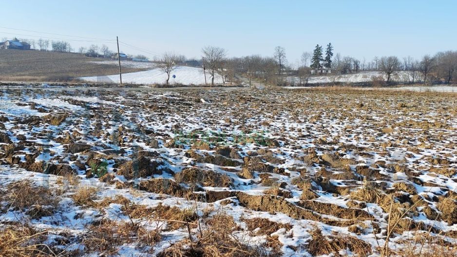 Vand teren intravilan si extravilan. - Poză 3