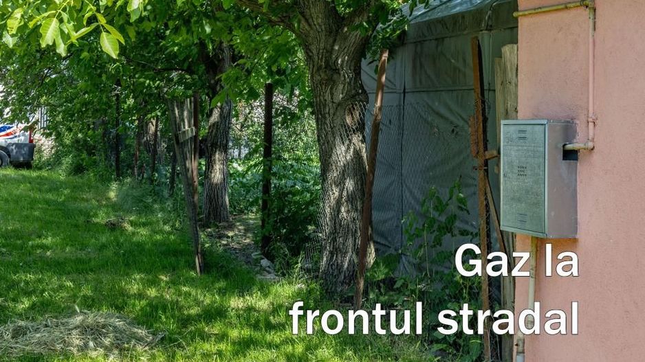 Teren 1.448 mp | Cerneteaz | Strada asfaltata | Utilitati | Comision 0% - Poză 7