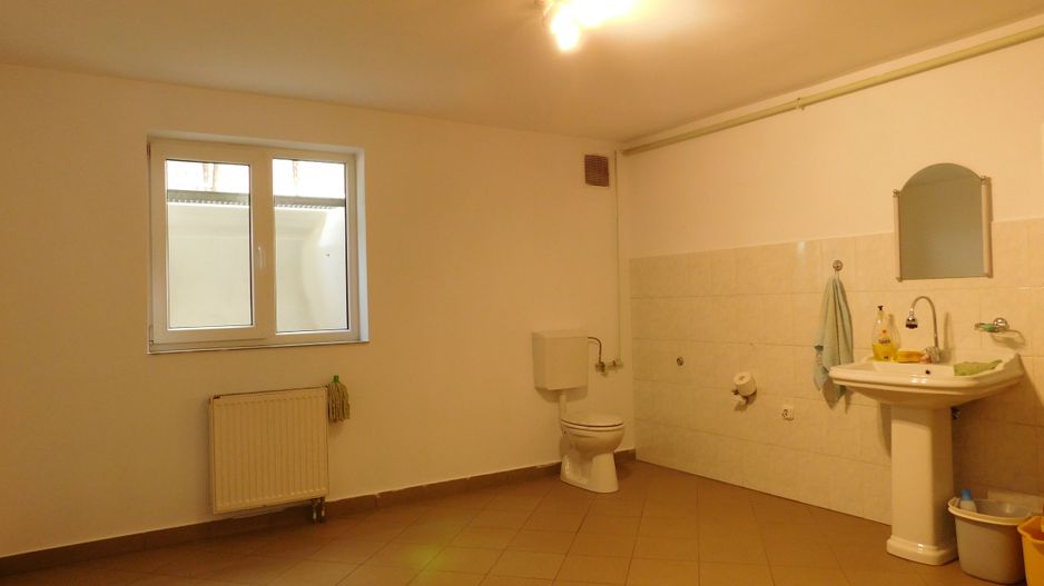 Vilă spectaculoasă de închiriat, parcare 10 locuri, Grădina Botanică - Poză 21