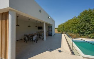 Vila Superba - Snagov Lac - Comunitate - Piscina - Ponton - Poză 5