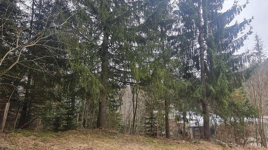 Vila multifunctionala in Predeal - oportunitate  resedinta si/sau afacere - Poză 6