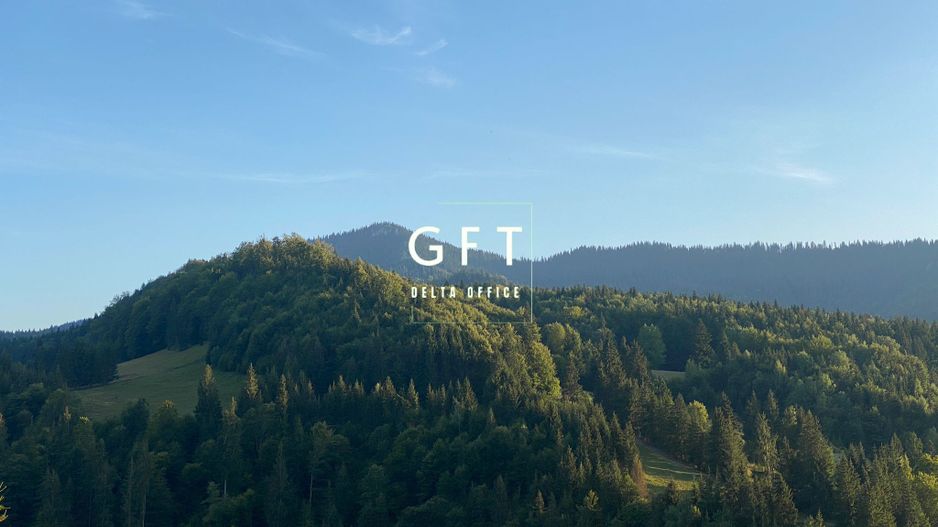 Teren Intravilan 1000mp-panorama-oportunitate investitie-Colibita - Poză 4