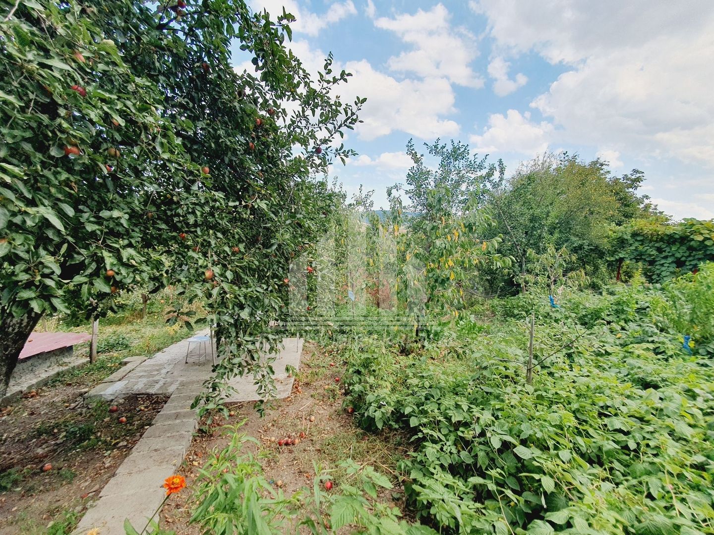 Casa de vanzare in Sebes - Lancram - Poză 14