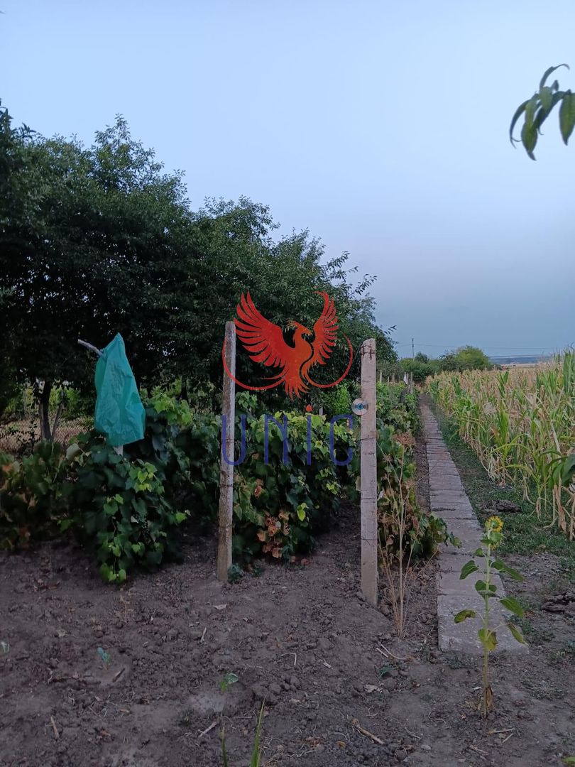 Casa cu teren de 3300mp , Gura Vaii! - Poză 14