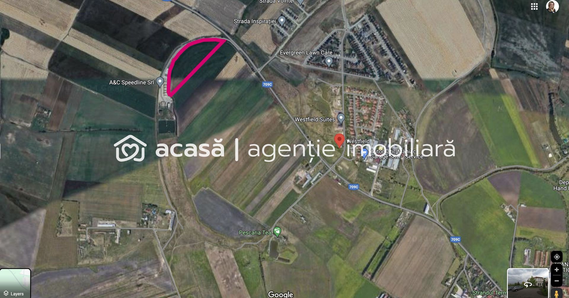 Teren de vânzare 3 ha in Arad - Poză 4