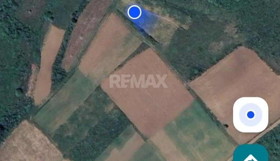 Tabăra/Orhei | 12.87 ari | Teren în inima Codrilor – Ideal pentru evadare în natură sau investiție - Poză 13