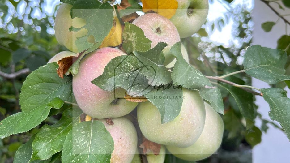 Vila de vanzare in Tunari I Gata de mutat I 4 camere I 5 parcari - Poză 54