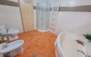 Vila spațioasă și recent renovată în Ghiroda! - Poză 18