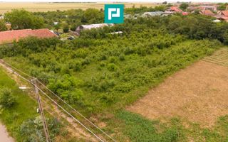 Teren 2400 mp - Tisa Noua, com. Fantanele - Poză 2