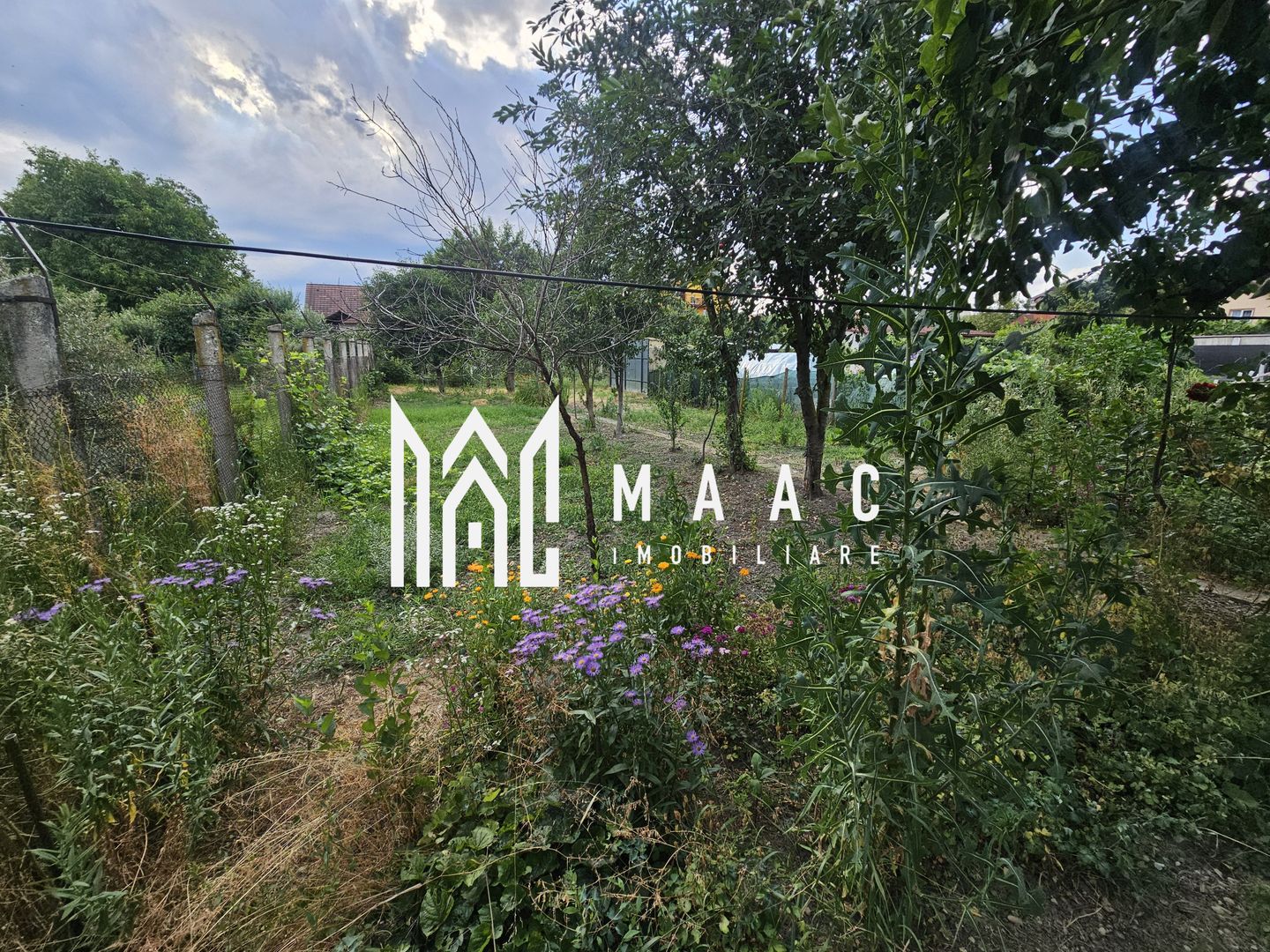 Casa individuala cu 3 camere | Teren 542 mp | Turnisor - Poză 23