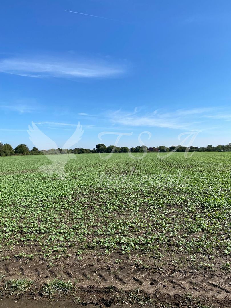 Teren Intravilan 825mp Cu dubla deschidere si Drum de servitute, Dascalu  Ilfov - Poză 12