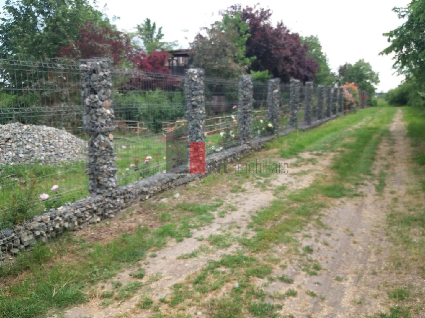 Teren Buftea cu iesire la lac - Poză 8