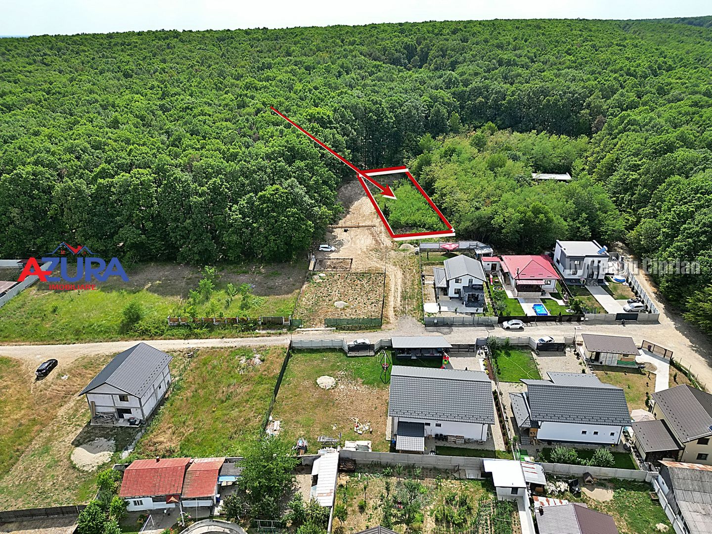 AZURA Imobiliare - Vanzare teren Hintesti, langa padure, 300m din DN - Poză 3