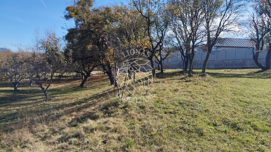 Teren intravilan 5324 mp la drum asfaltat-Parcelabil-Josenii Bargaului - Poză 3