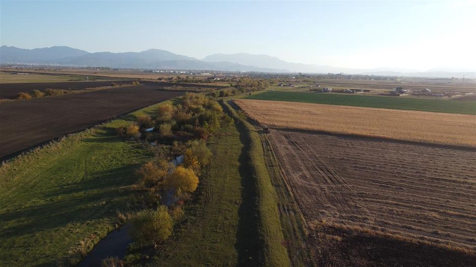 Halchiu Brasov, 80.000 mp teren extravilan - agricol - Poză 2