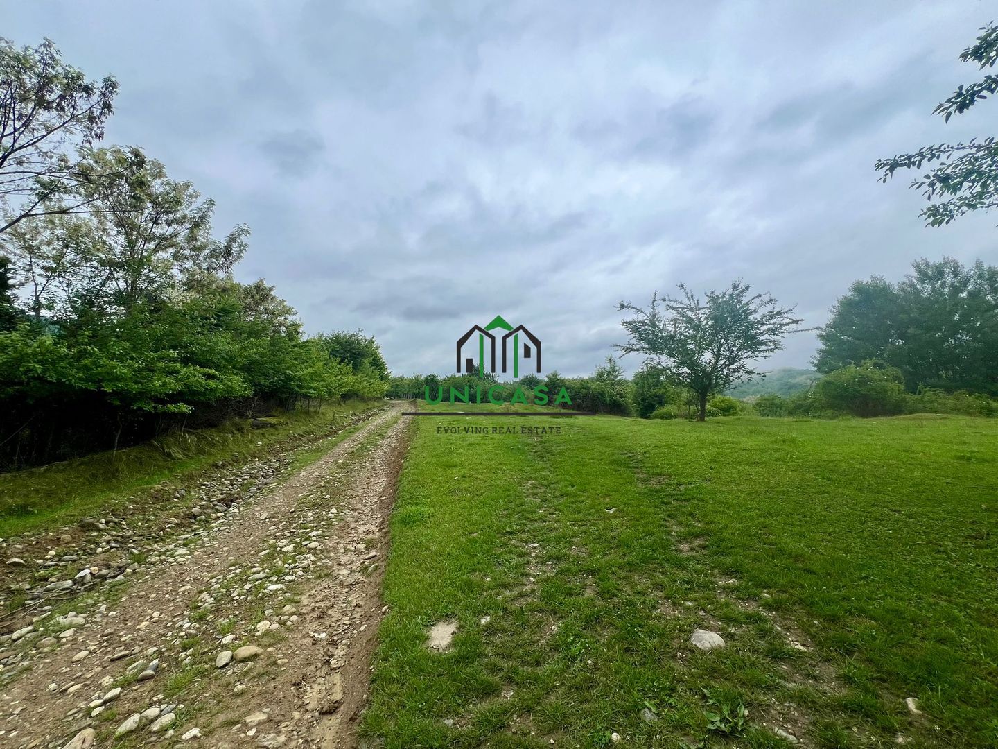 Teren 3507 mp/ Seaca/Calimanesti - Poză 2