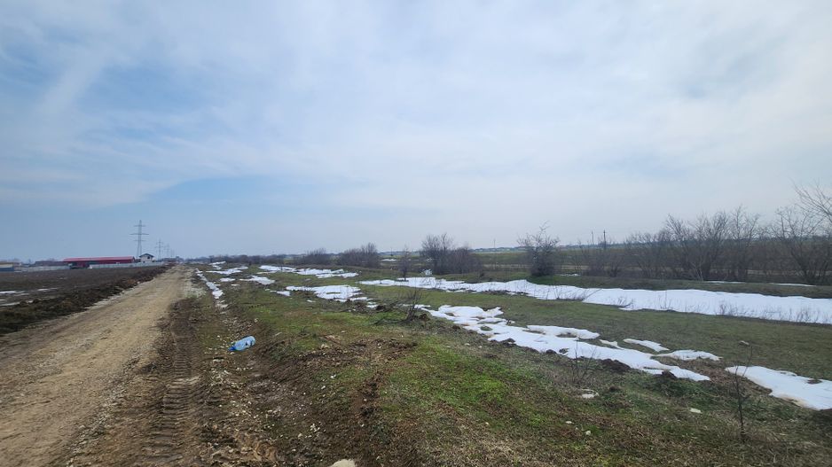 Teren intravilan 3,4 Ha Ciorogarla str.  Nicolae Iorga - Poză 6