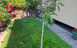 Apartament 3 camere | Gradina | Parcare | Renovat | Selimbar - Poză 16