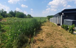 🏡TEREN INTRAVILAN 1000 MP  REDIU - Pozitie excelentă ! 🏡 - Poză 3