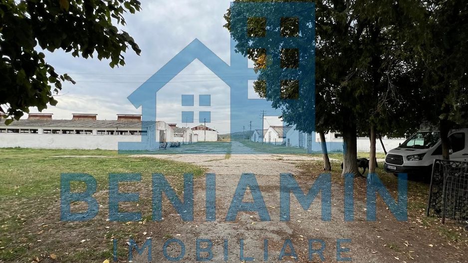 60.000mp Ferma de bovine, păsări, porcine, culturi agricole Diverse - Poză 9