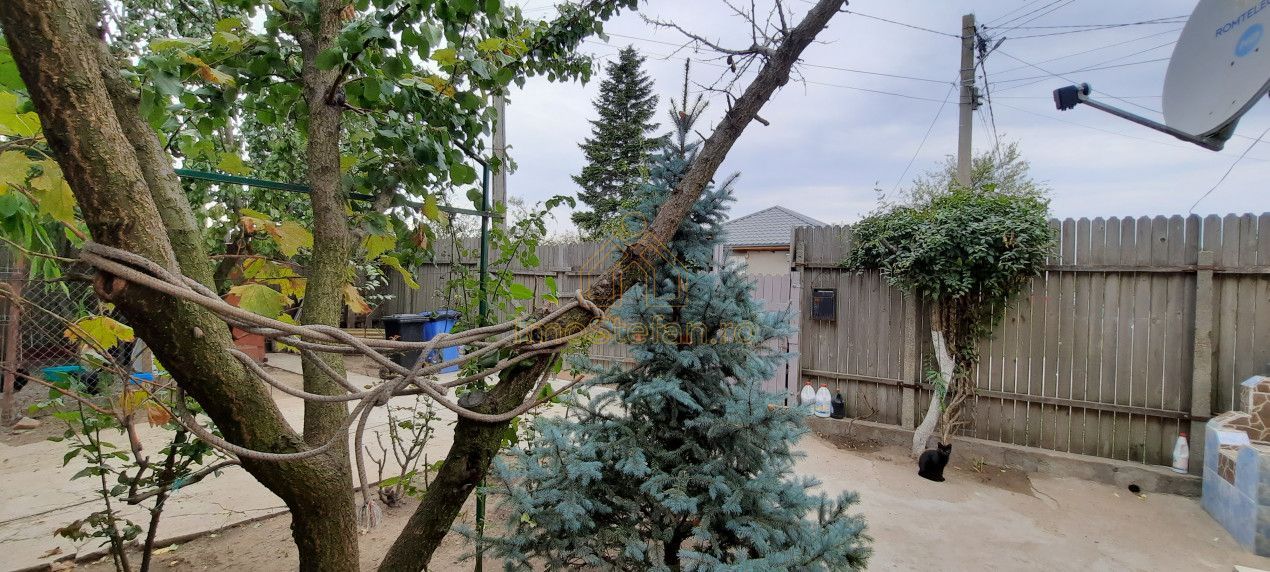 Gospodarie rustica, completa si accesibila în Cobadin - Poză 19