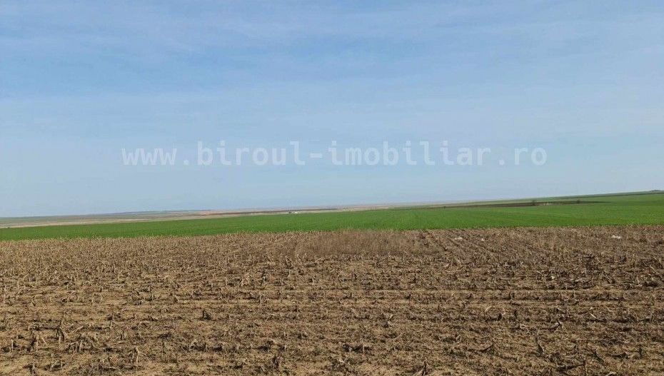 Vânzare teren agricol comasat direct la Soseaua  Istria - Sinoe - Poză 5