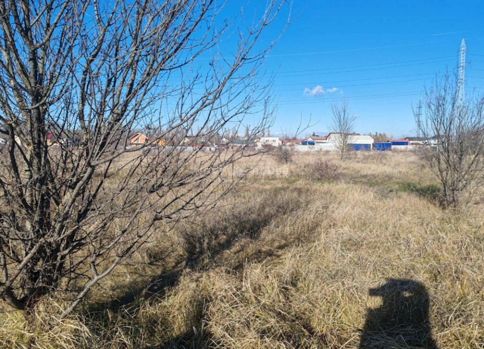 Teren Joita -  Bacu - Dragomiresti - Poză 5