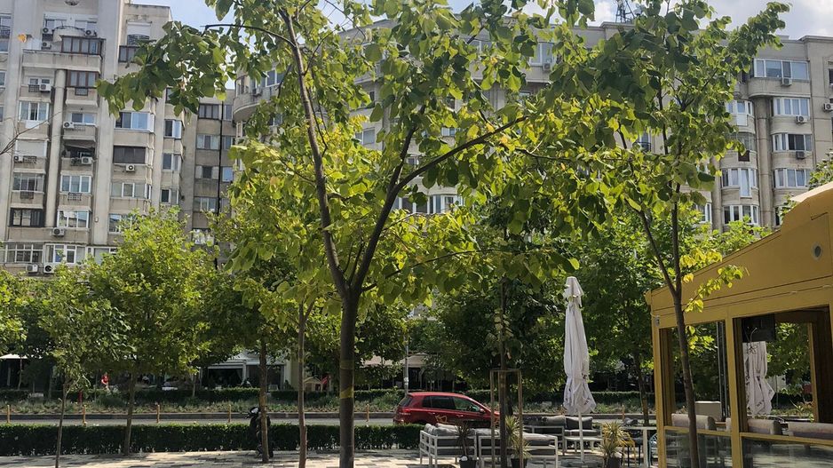 Spatiu comercial stradal || Zona Blvd Decebal || Terasa 110Mp  || Video - Poză 10