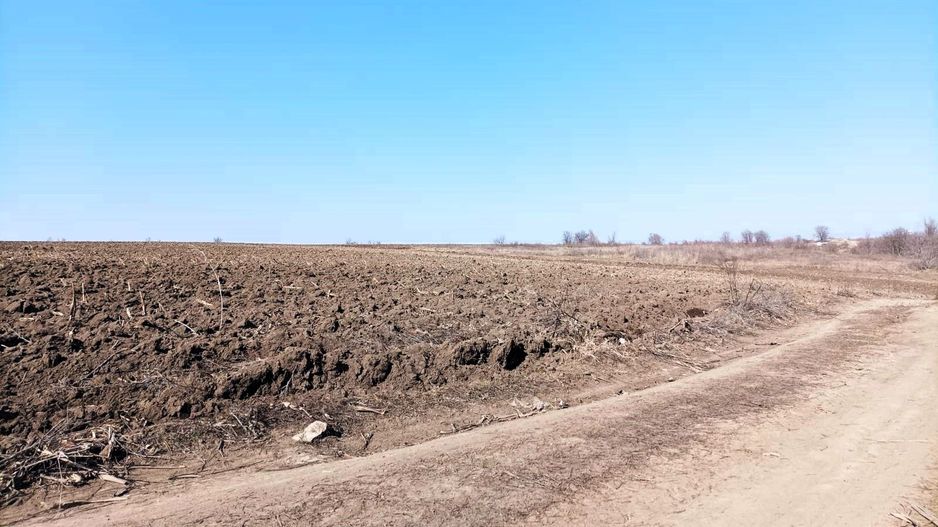 Teren Agricol de Vânzare - 162 Ari în or. Singera, Extravilan 🌿 - Poză 2
