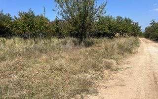 Teren intravilan 5744 mp Mosoaia-Prunilor - Poză 1