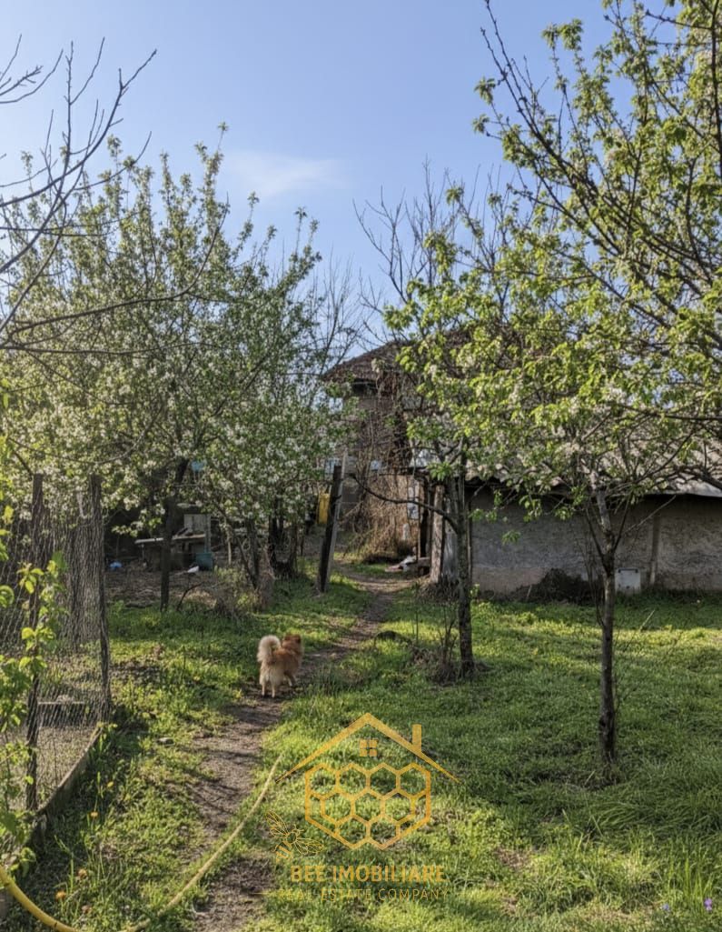 Casa P+Beci + 1.451 mp Teren ( Toate utilitatile)  – Langă Profi/Pepco - Poză 6