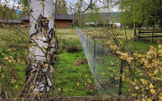 Teren Saru Dornei / Neagra Sarului - oportunitate investitie - Poză 6